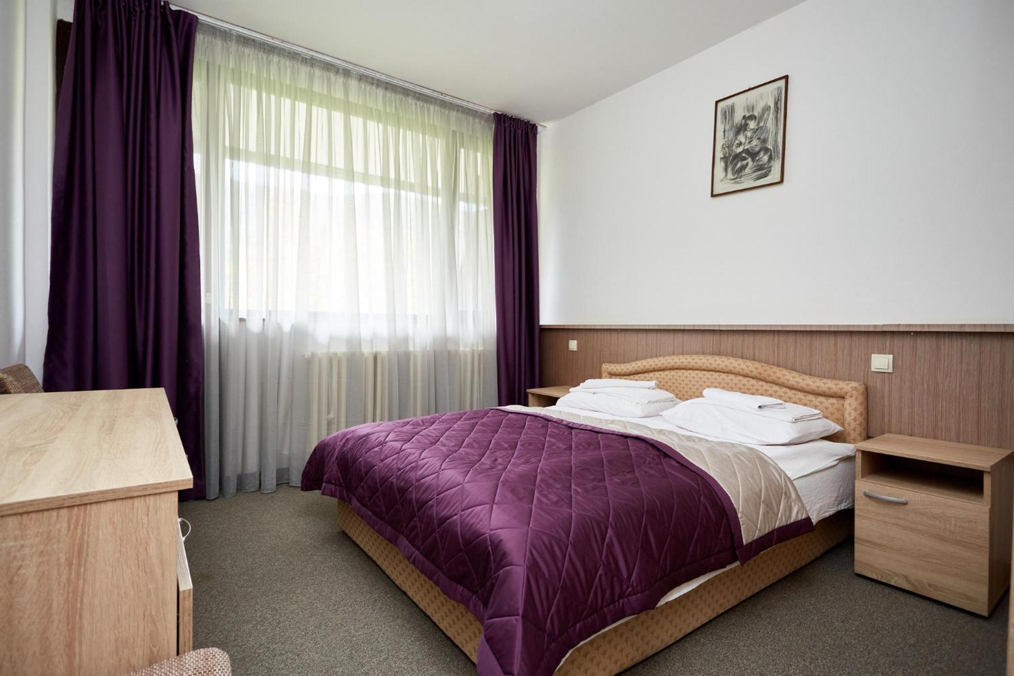 Hotel Moravica Soko Banja Room photo